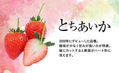 とちあいか 2パック 2027年2月上旬〜2月中旬